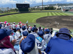 令和6年　7月27日　全国高校野球選手権長野県大会決勝観戦！！